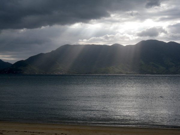 Confusion international nature Magazine. Ilhabela, Brazil.