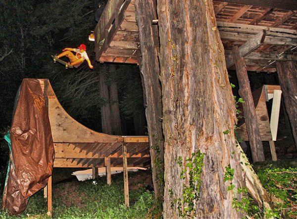 Al. Ollie to fakie in the woods.  Photo: Nicky Gaston