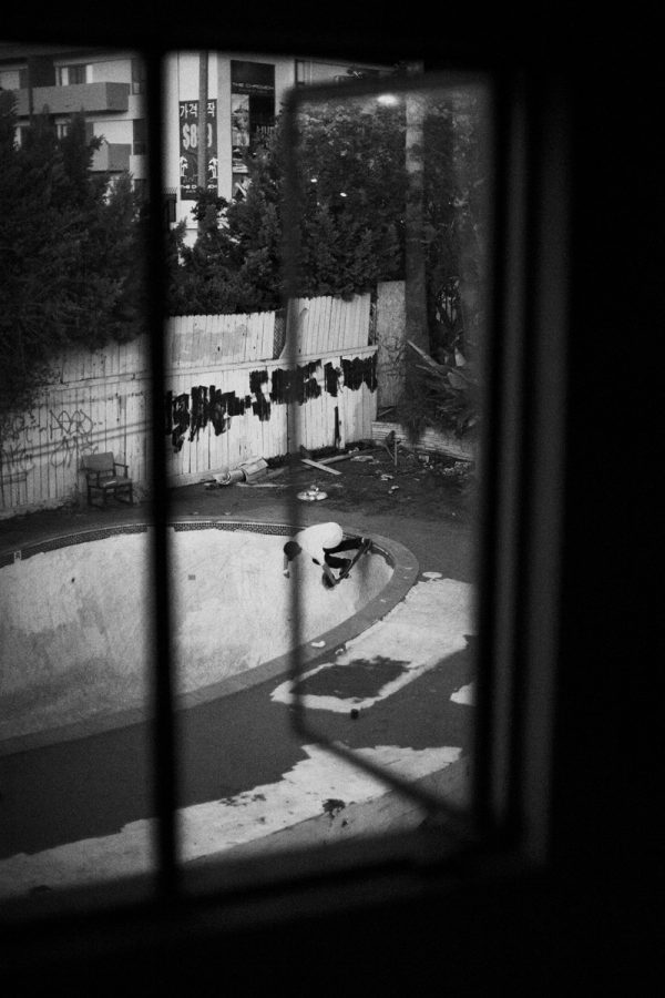 Raven Tershy, back tail in Los Angeles