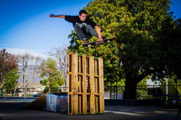 Frankie Hill - Mute over the palette.  Photo: Jon Steele