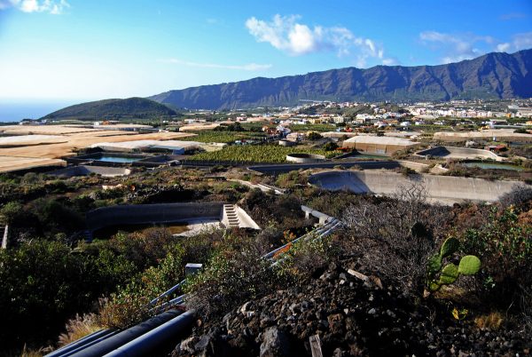 Canary Island Skate Paradise