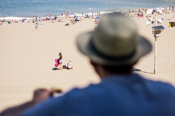 Summertime blues... and beige and tan.