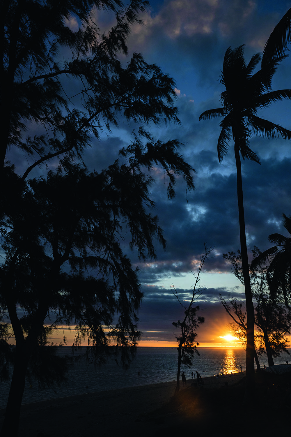 ANTIZ_sunset_and_palmtrees_LB