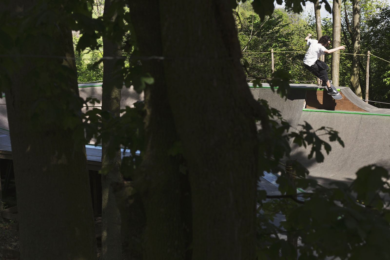 Alex Borgatti - fs smith gap out