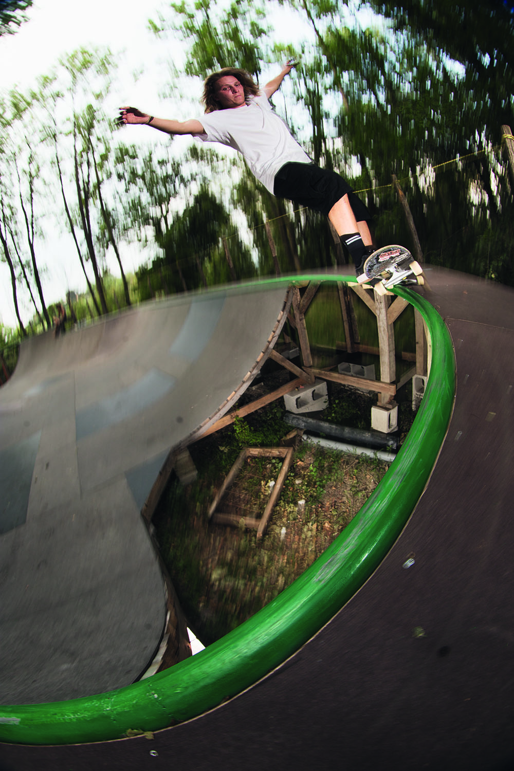 cinghial-Ludovico-Patti-fs-5o-vertical